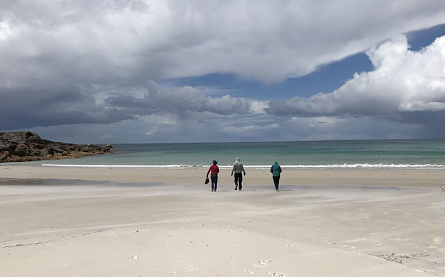 Windy Day At The Beach, Tasmania, Australia